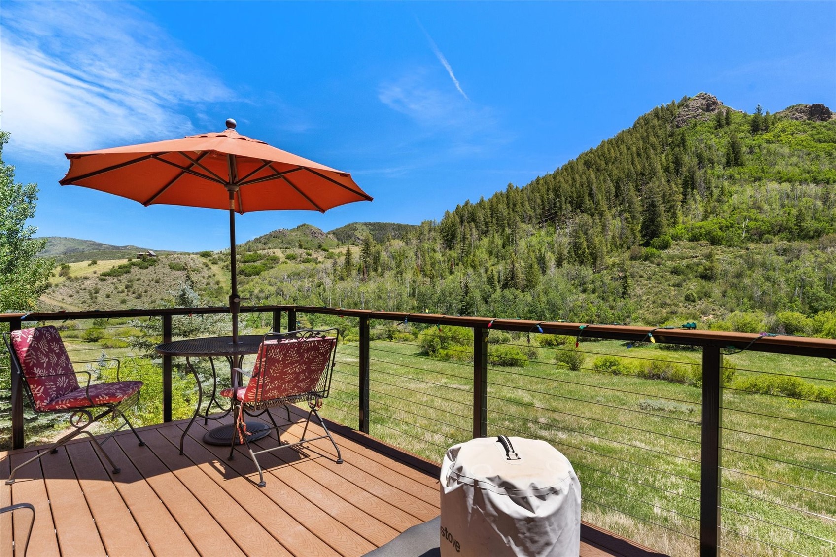 30390 Coyote Run COURT