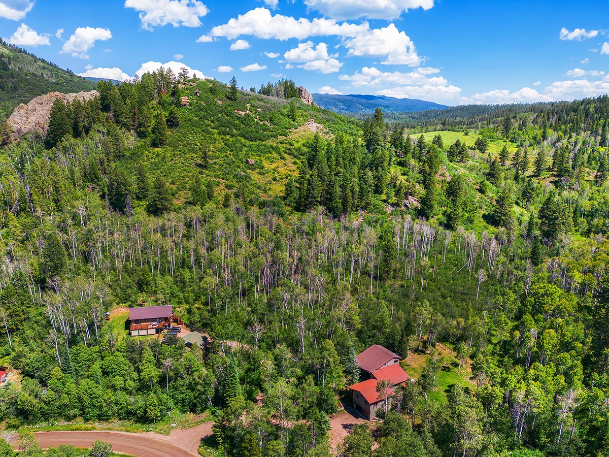 22610 Snowbird TRAIL
