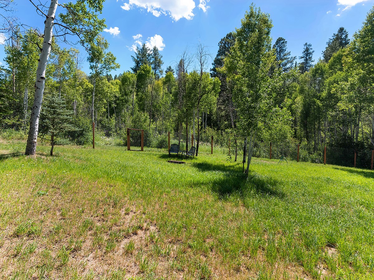 22610 Snowbird TRAIL
