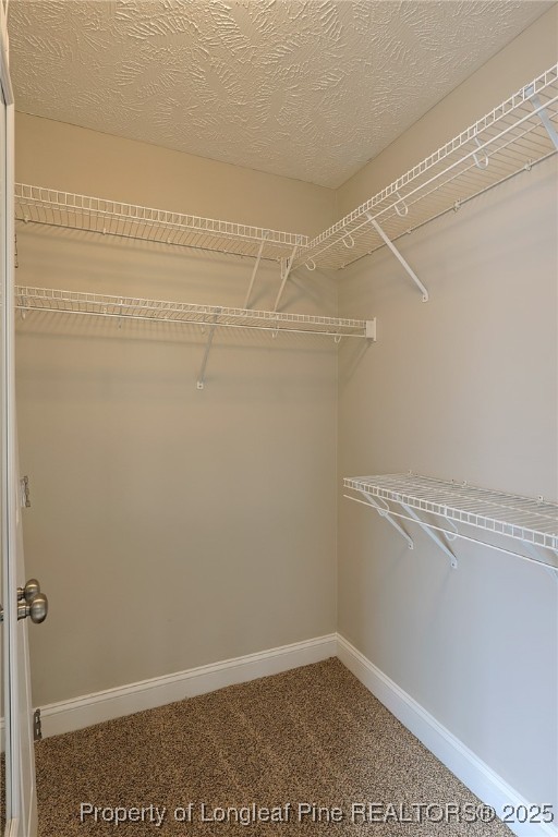 8021 Trout Creek Road