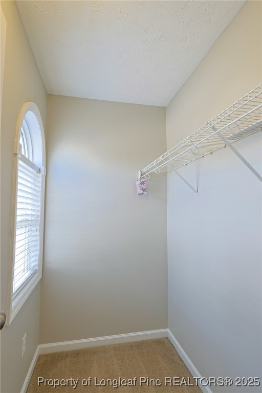 8021 Trout Creek Road