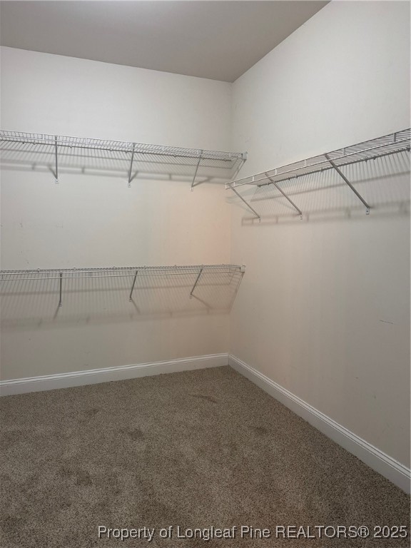 1545 Gallant Fox Court