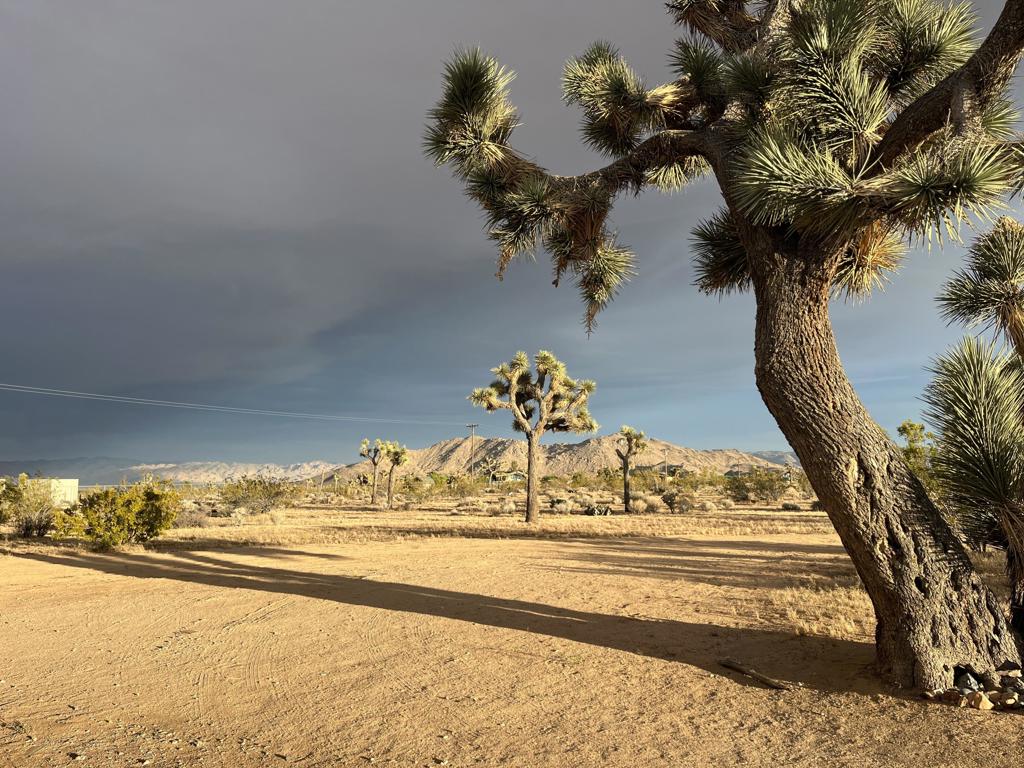 60010 Darlinda Drive