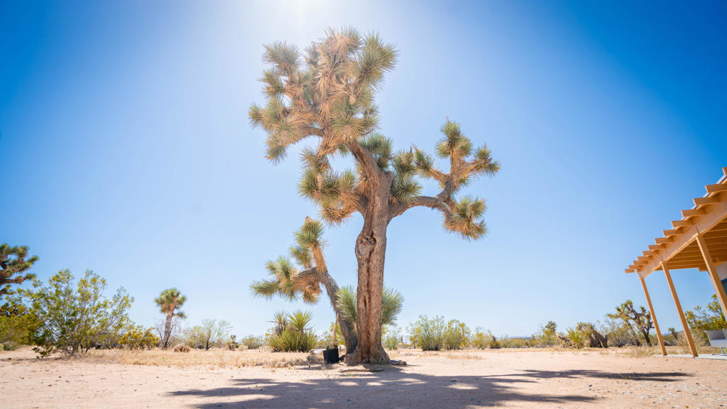 60010 Darlinda Drive