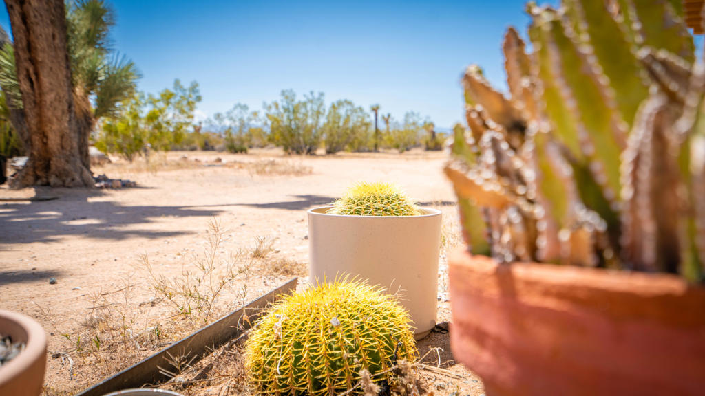 60010 Darlinda Drive