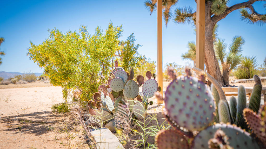 60010 Darlinda Drive