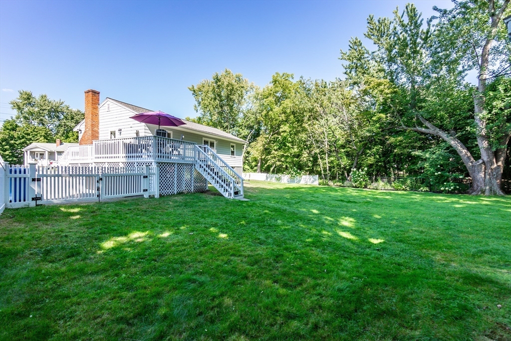 23 Thistledale Rd
