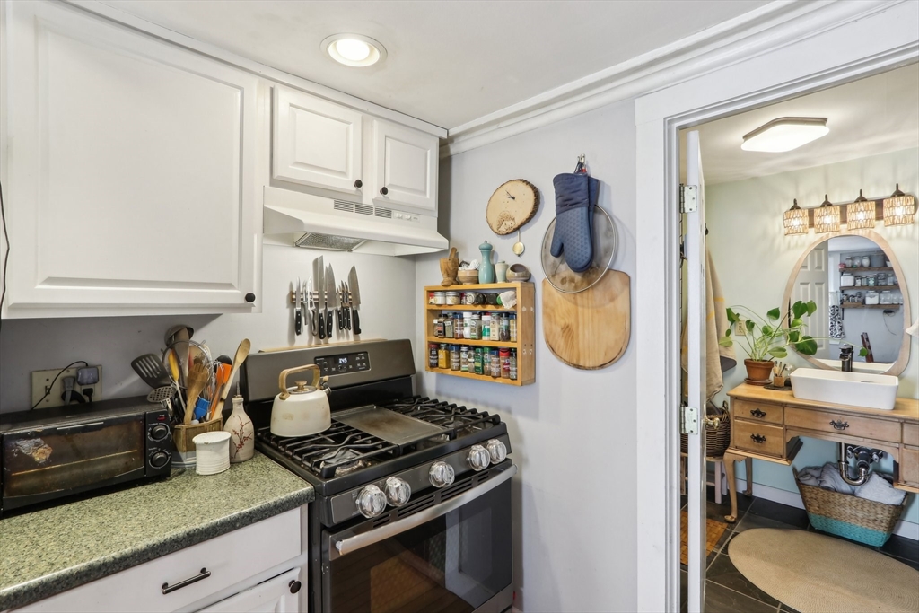 13 Mount Pleasant Ave # 3