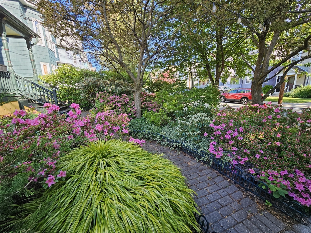 12 Maple Avenue # 1