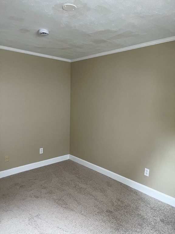 36 Essex Street # 3