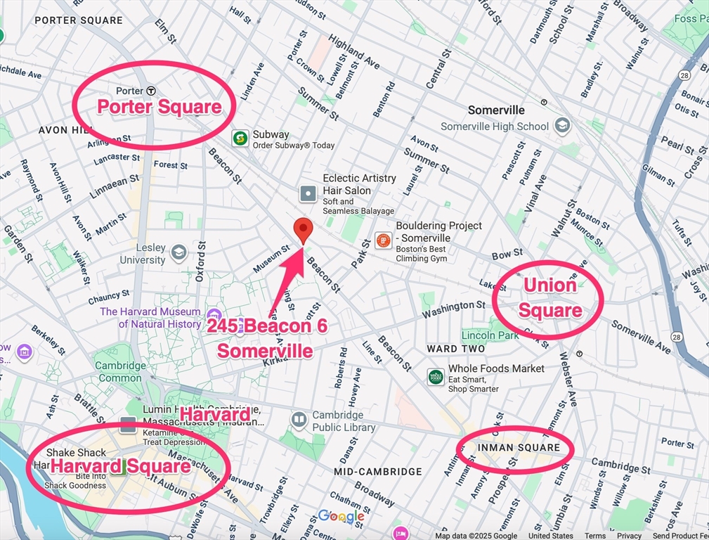 245 Beacon Street # 6