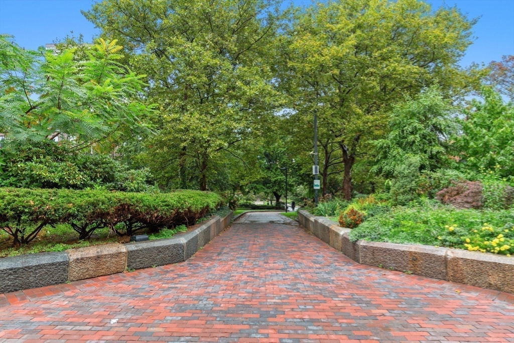 231 W Newton St # 3