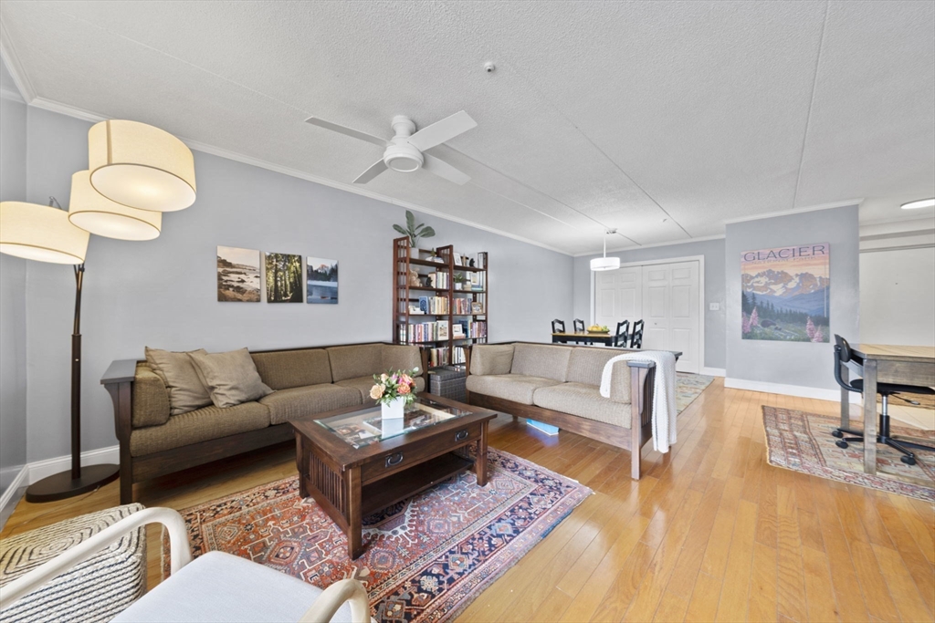 62 South Street # 7