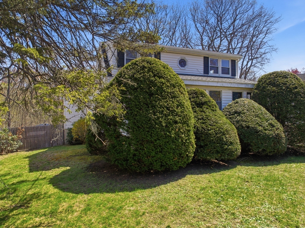 215 Pearl St