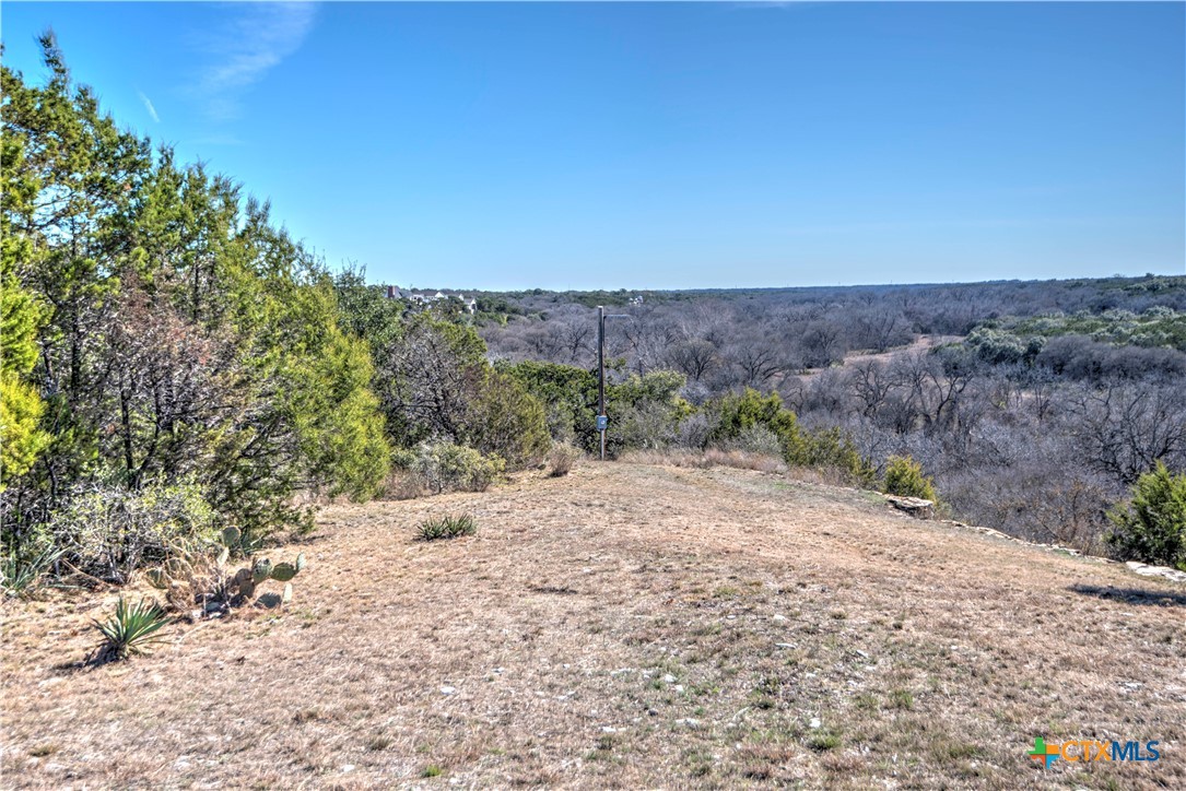 4401 Lucius Lane