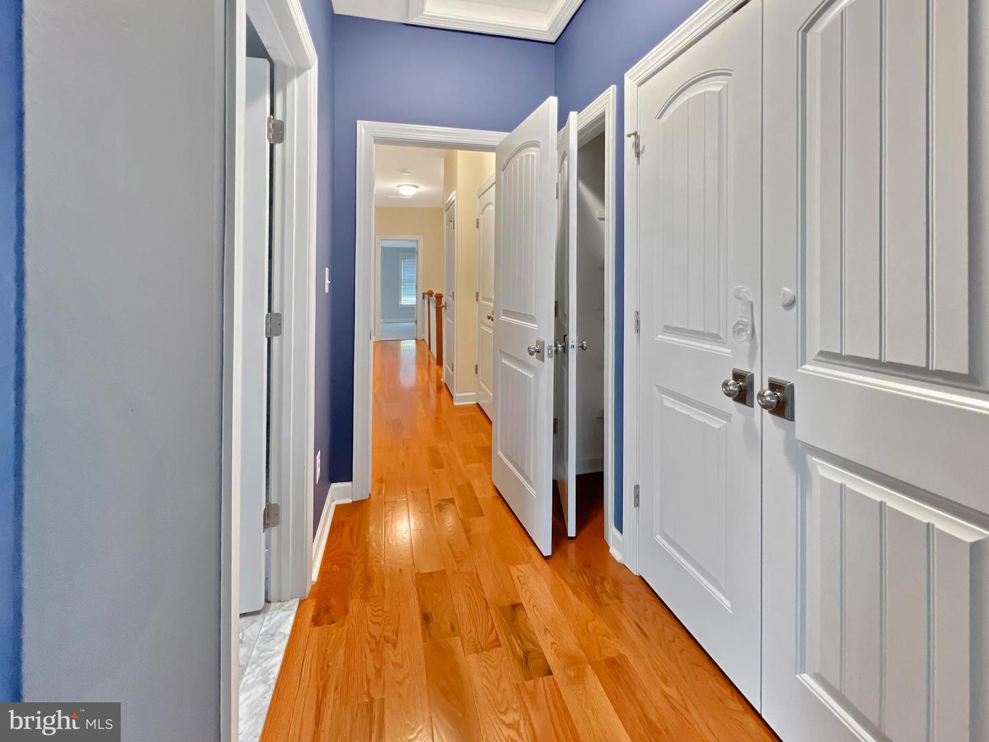 23 W CHAPMAN ST W