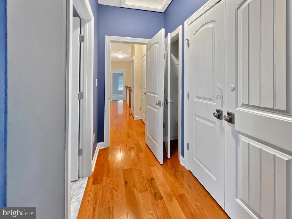 23 W CHAPMAN ST W