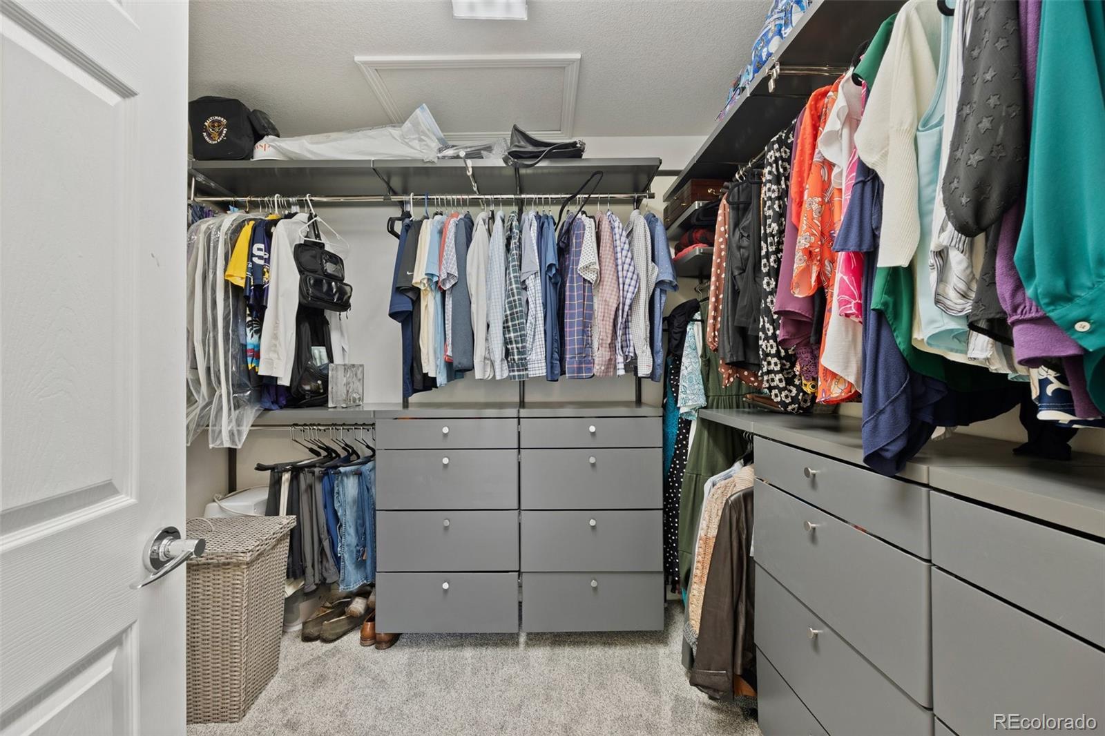 4235 Lark Sparrow Street