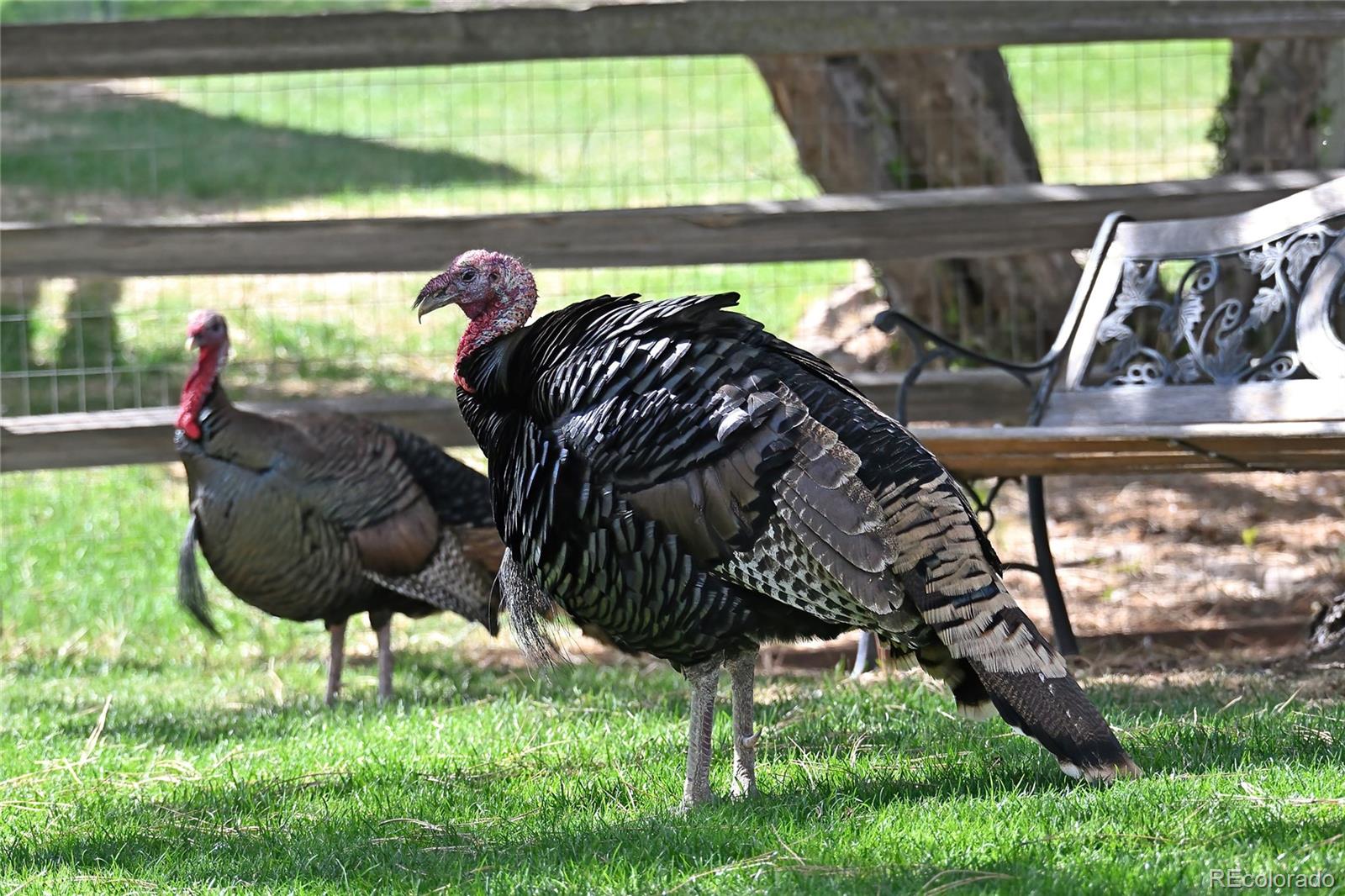 5951 Thunder Hill Road