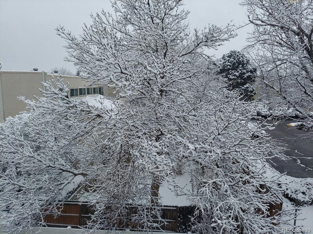 12891 E Caspian Place