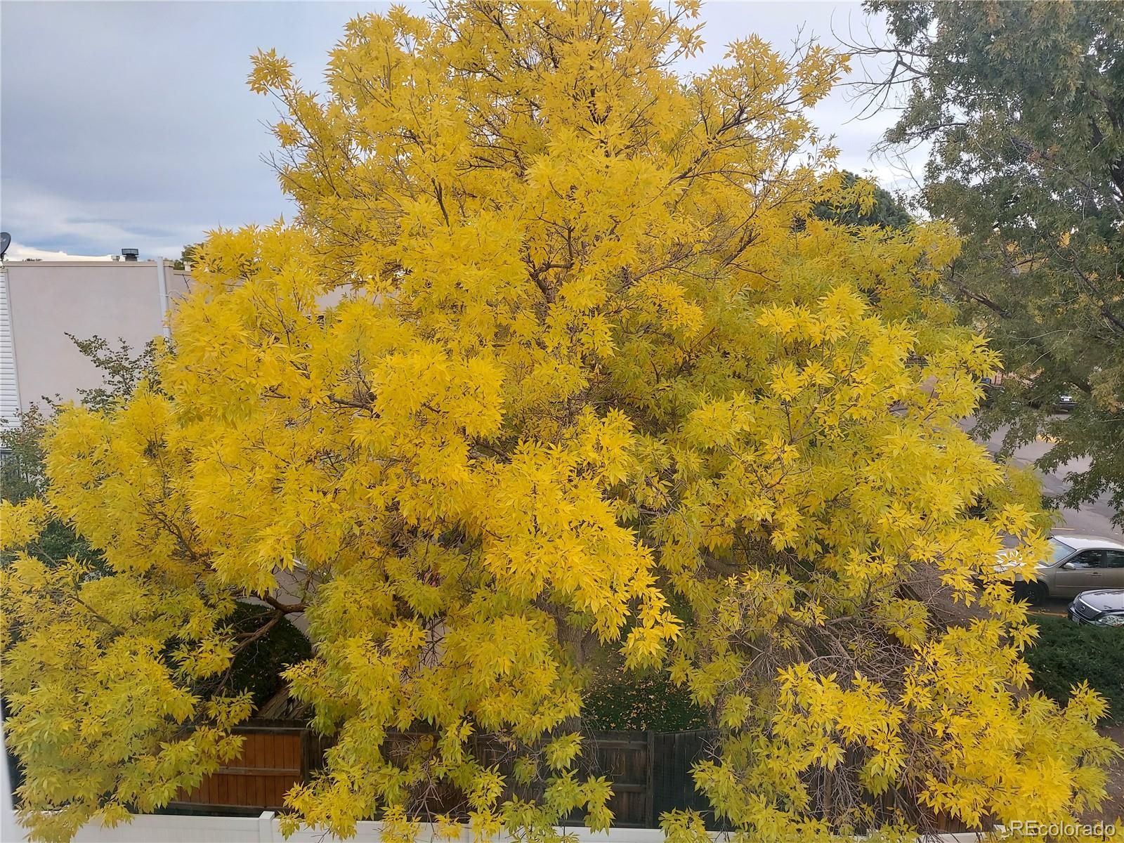 12891 E Caspian Place