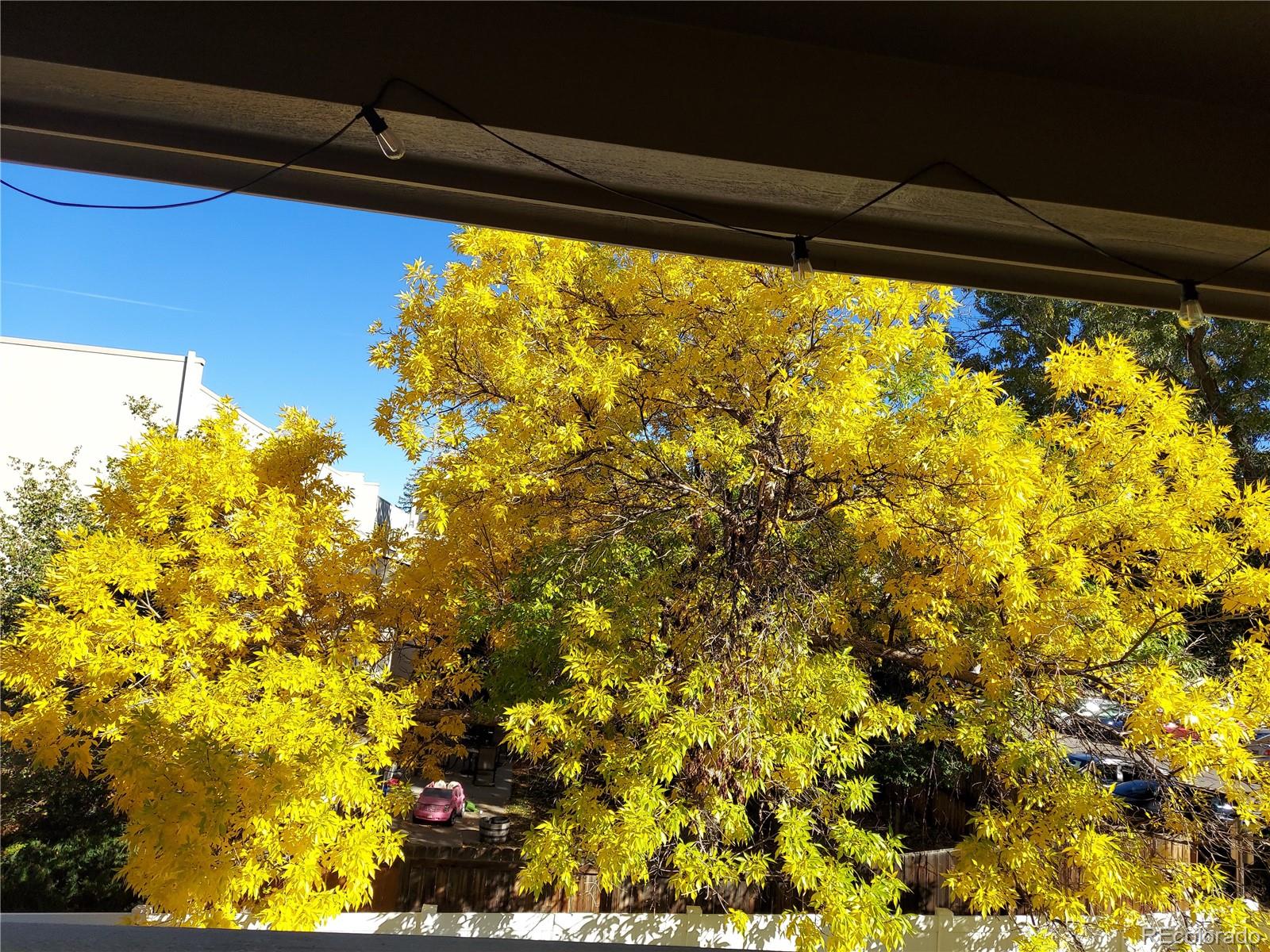 12891 E Caspian Place