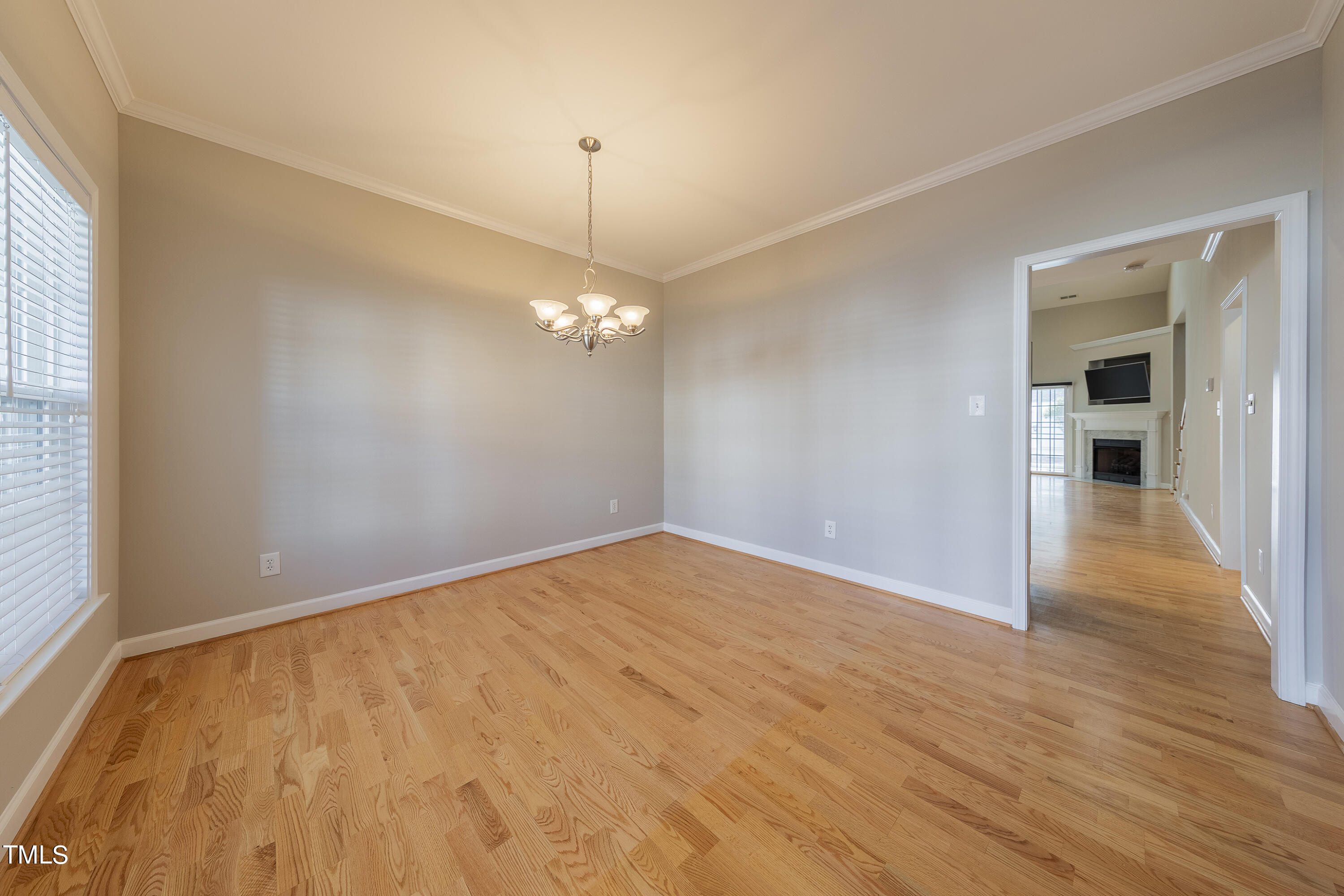 7311 Water Willow Drive