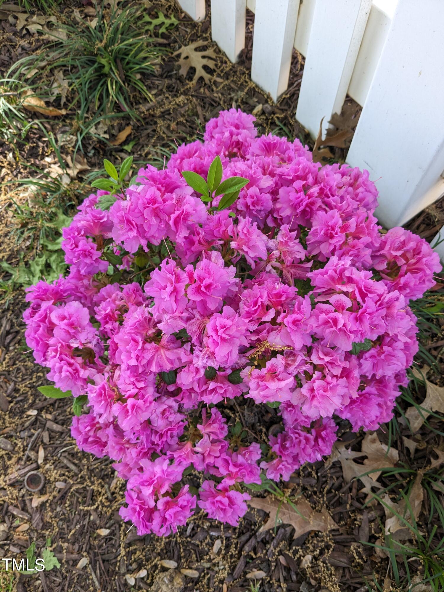 611 Carpenter Town Lane