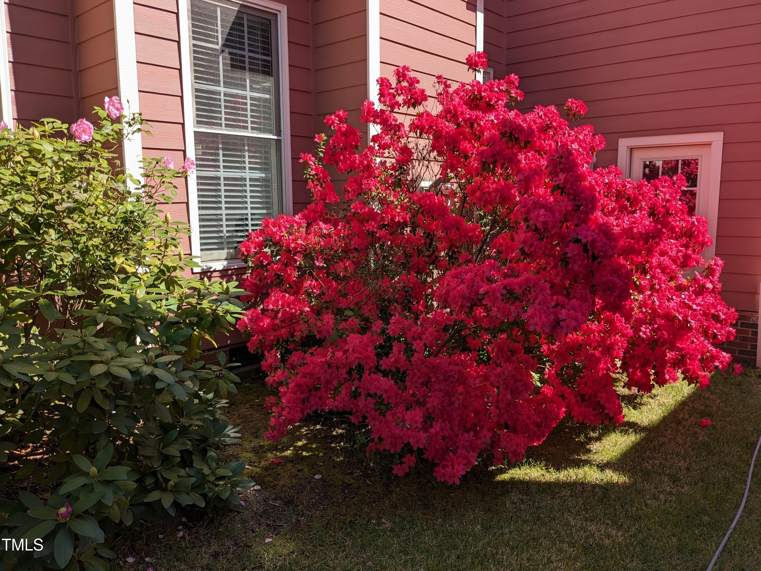 611 Carpenter Town Lane