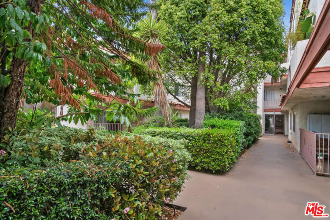 1146 E Lexington Dr Unit: 17-202