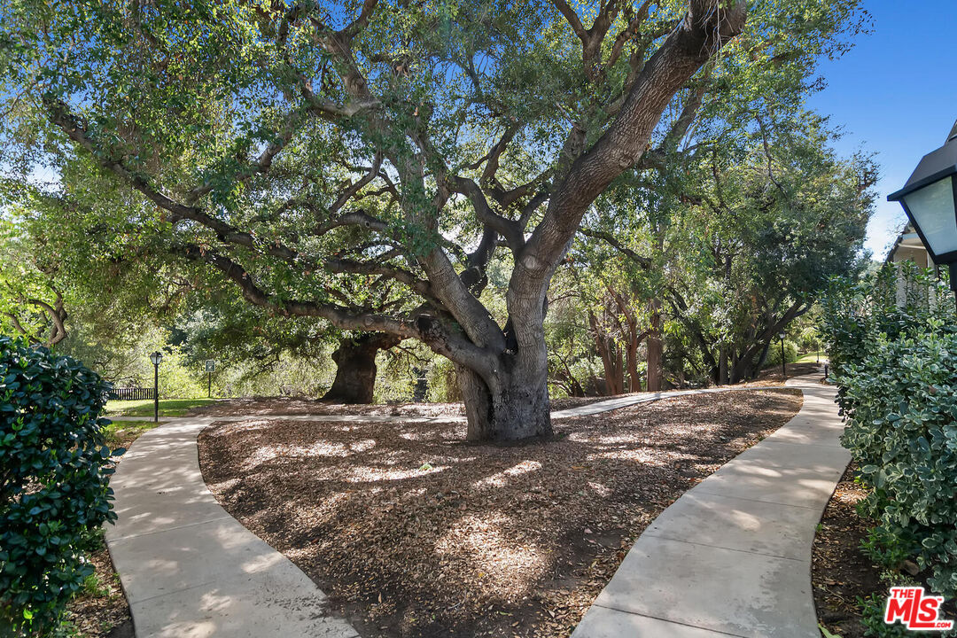 23665 Park Capri Unit: 101