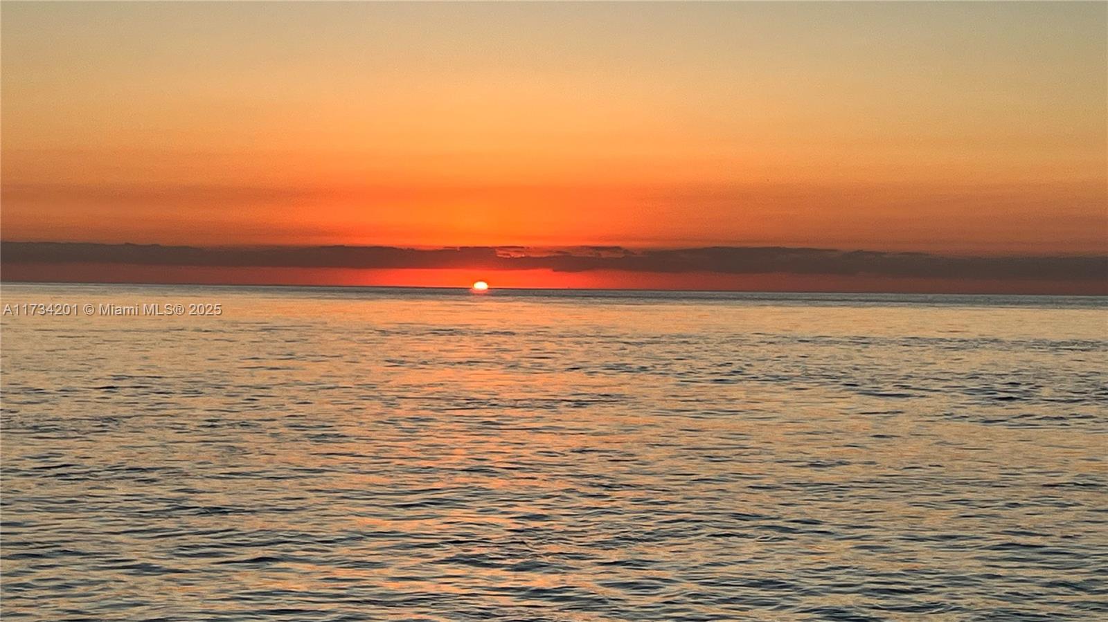 2201 Collins Ave # 1102