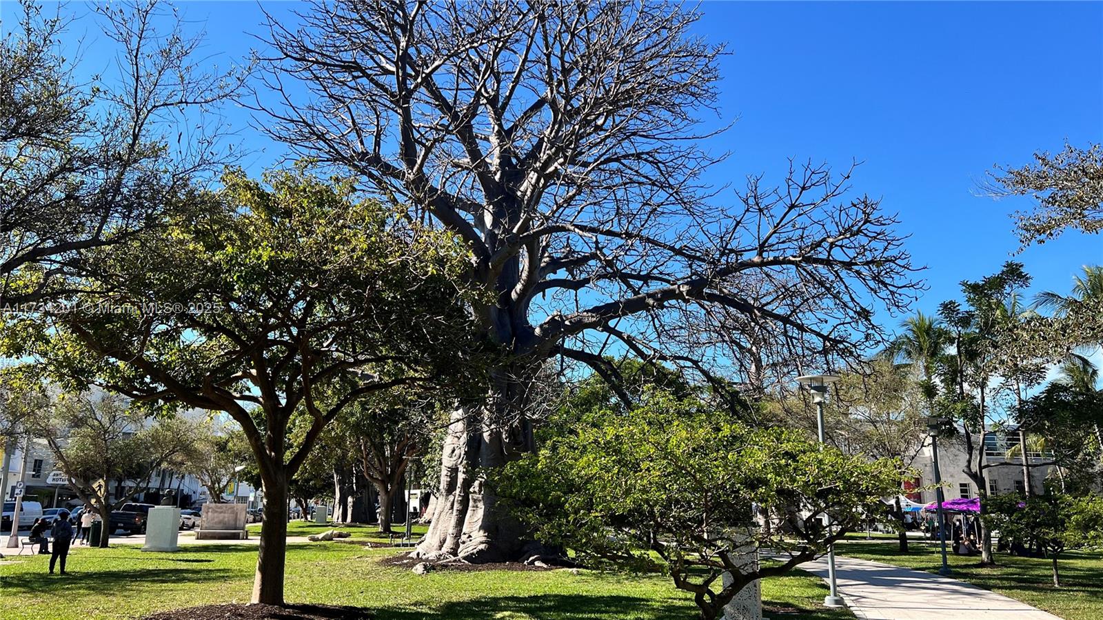 2201 Collins Ave # 1102