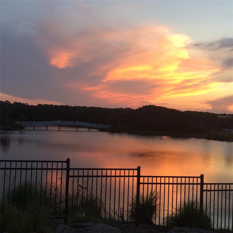26 LAUGHING GULL LN