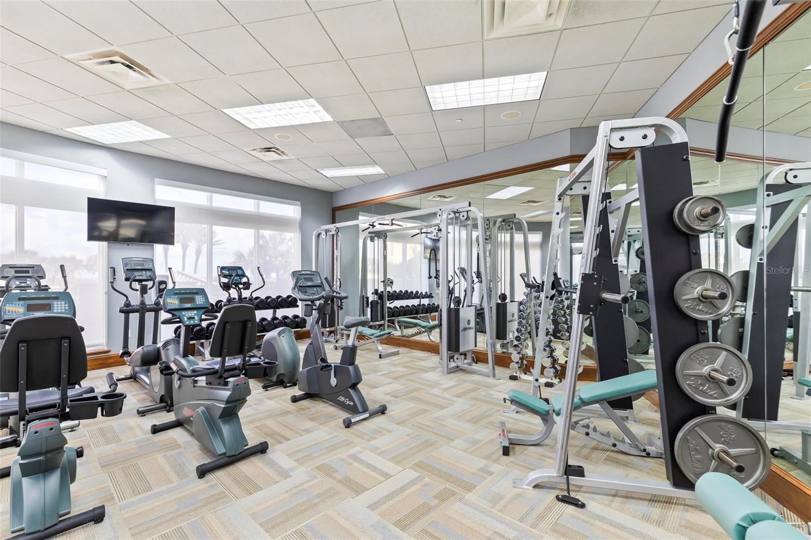 7 AVENUE DE LA MER #702