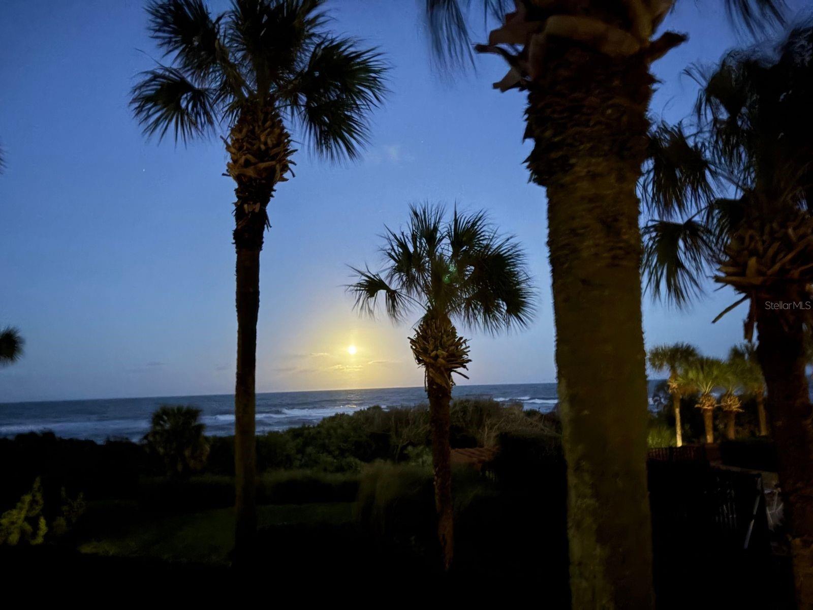 11 AVENUE DE LA MER #1105