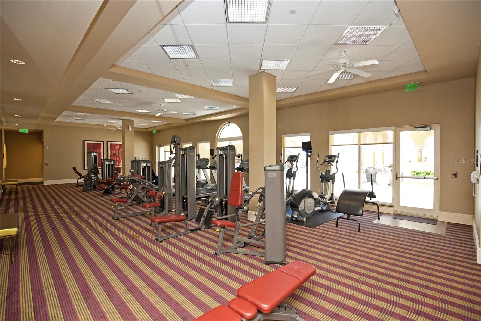 19 AVENUE DE LA MER #804