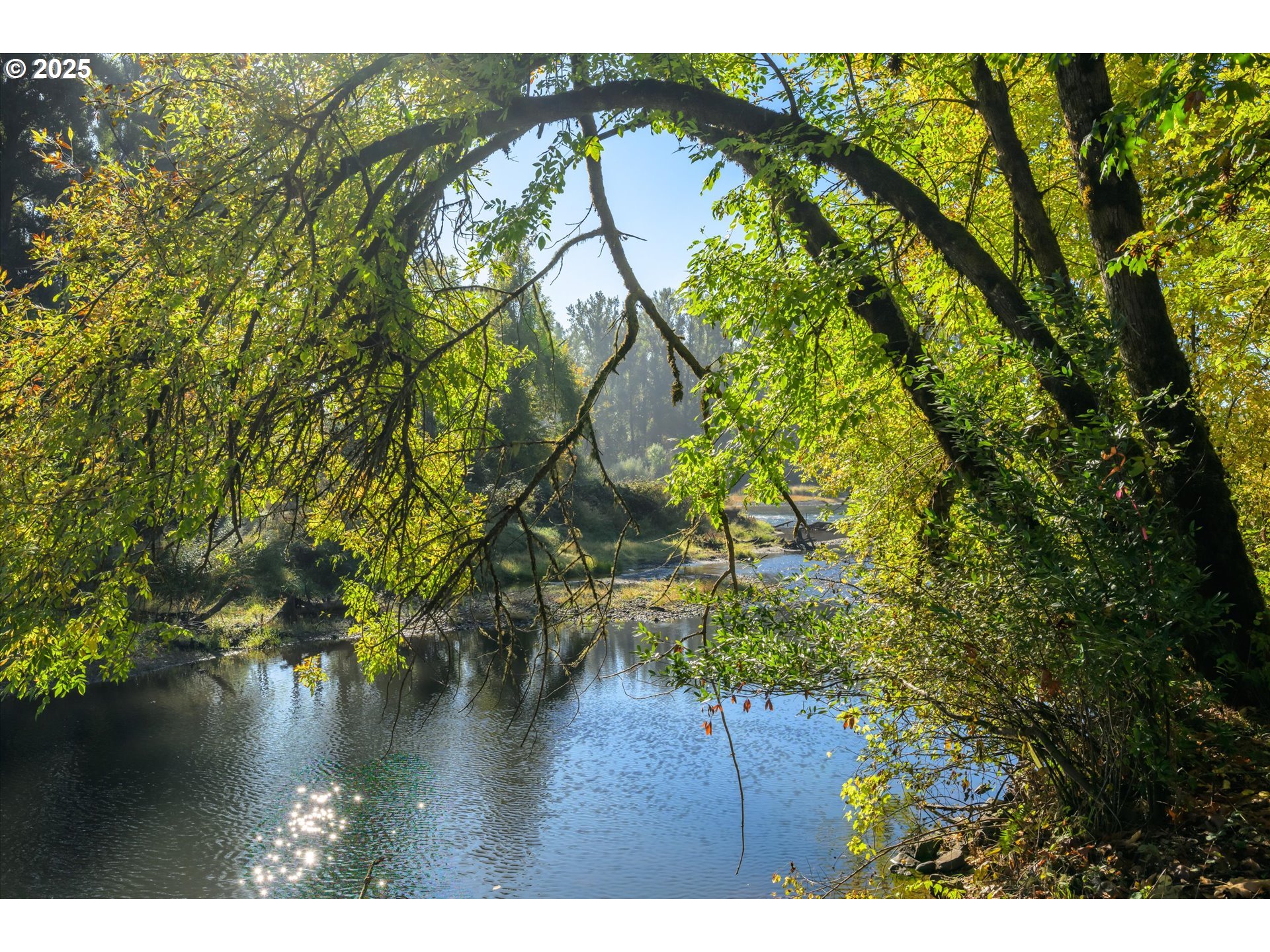 35012 MCKENZIE VIEW DR