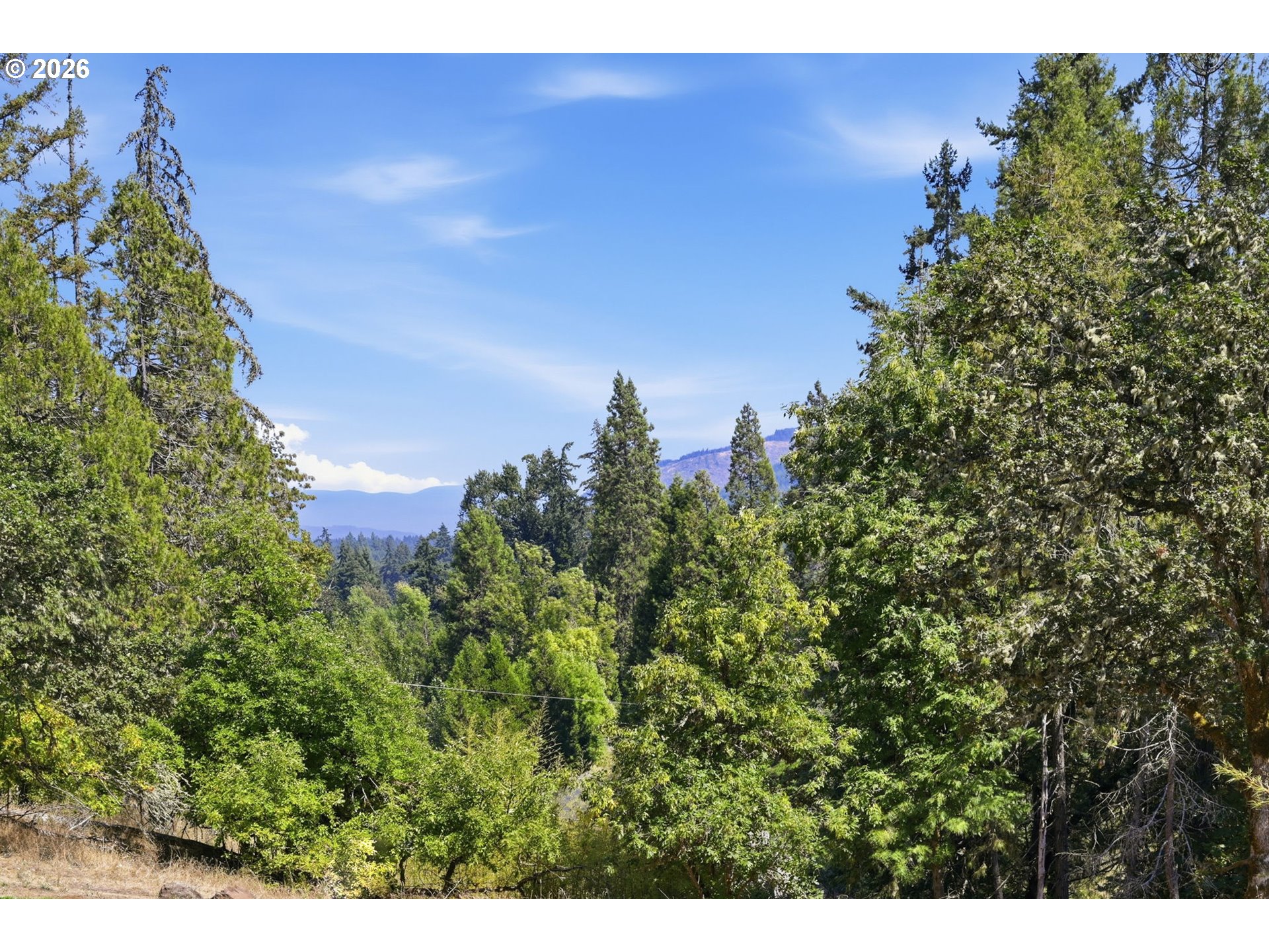 39639 JASPER LOWELL RD