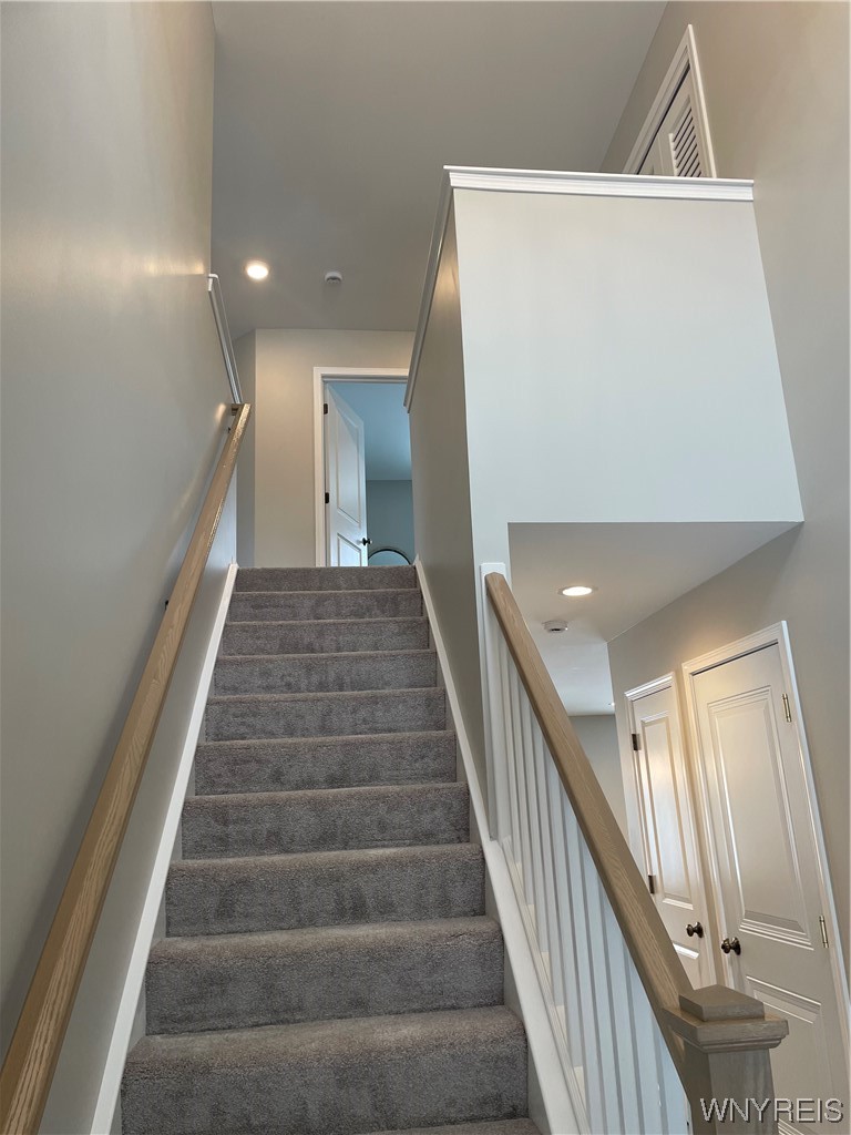 6459 Pincherry Way