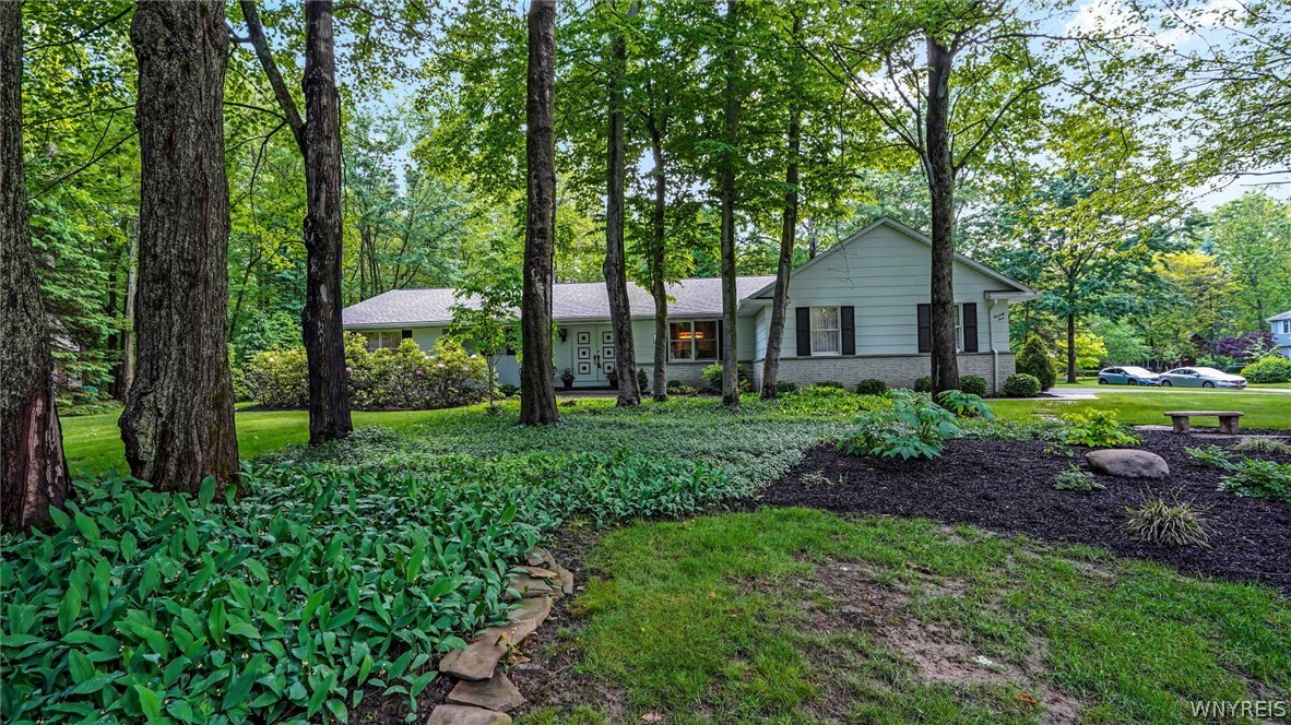 75 Scattertree Lane