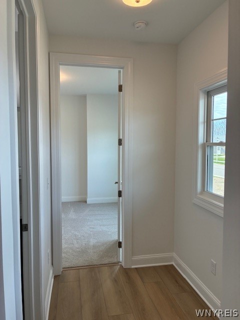 4543 Camp Road L231