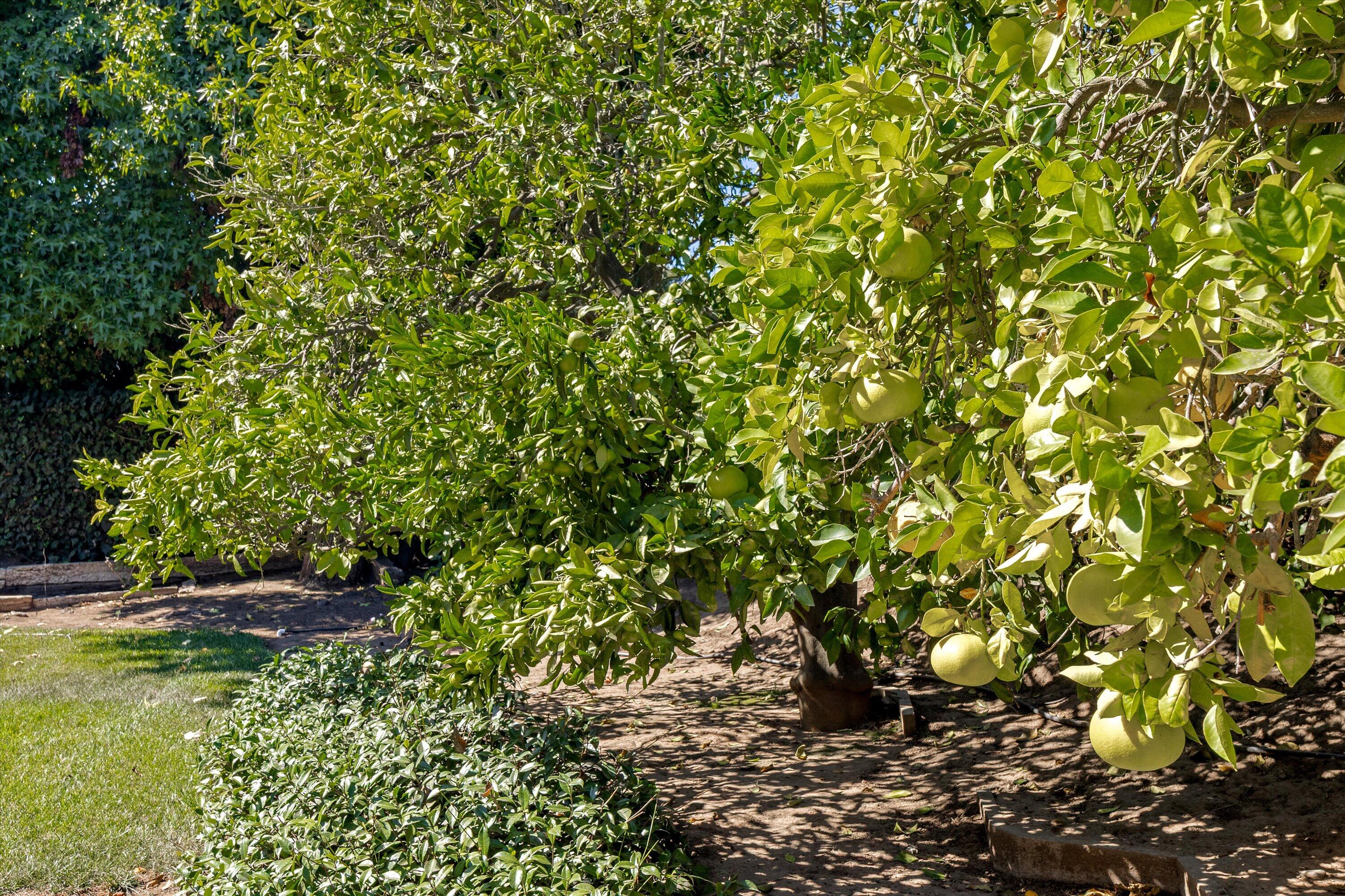 6236 Cumberland Drive