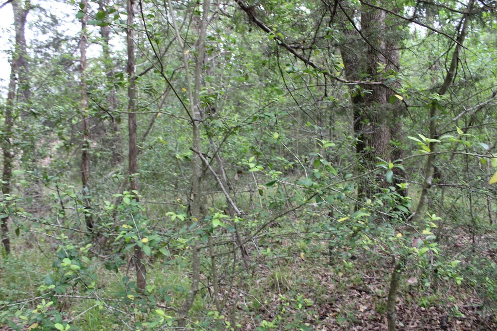 16104 SE County Road 2390