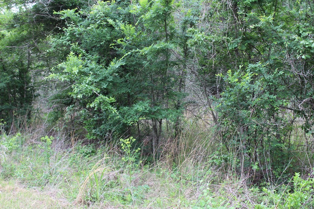 16104 SE County Road 2390