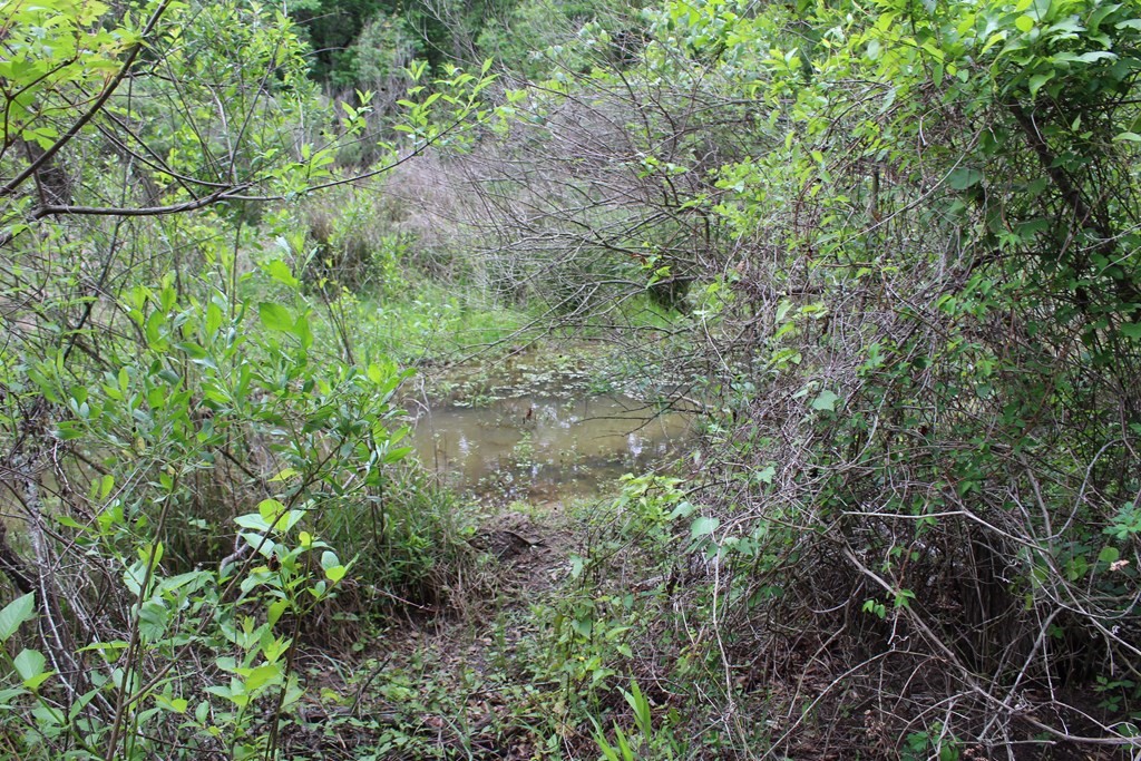 16104 SE County Road 2390