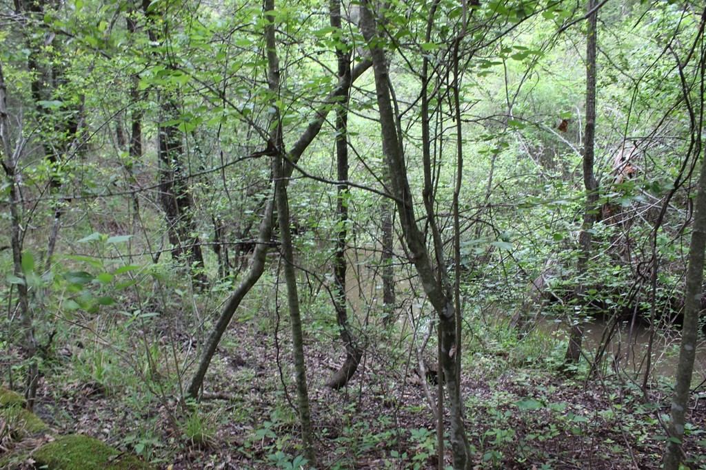 16104 SE County Road 2390