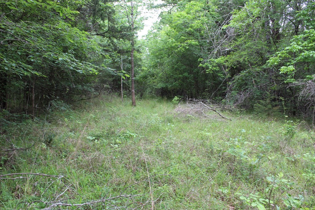 16104 SE County Road 2390