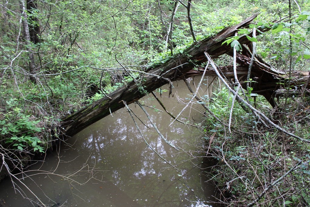 16104 SE County Road 2390
