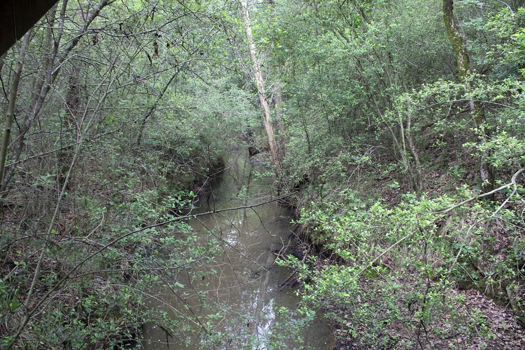 16104 SE County Road 2390